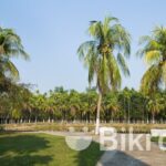 Resort for Sale Place: Dhaka, Amount 100) USD, 30 Days RRS